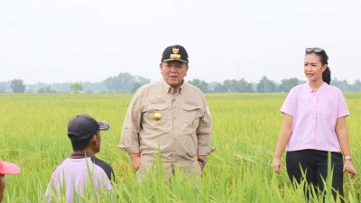 Gubernur Arinal Djunaidi Tinjau Lahan Pertanian di Kabupaten Lampung Tengah