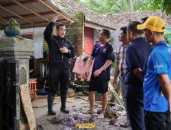Tinjau Banjir Di Dua Kecamatan, Bupati Pesawaran akan Bangun Kembali Tanggul Sungai