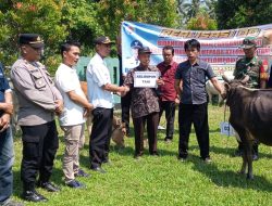 Pemerintah Pekon Biha Kecamatan Pesisir Selatan Pesisir Barat Lampung Realisasikan Ketahanan Pangan Dana Desa.