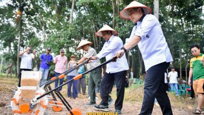 Potensial Pengembangan Holtikultura, Bupati Pesawaran Dan Kementan RI Tanam Kedelai Perdana