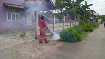 Cegah Korban DBD Bung Iqbal Bentuk Tim Fogging Bebas DBD