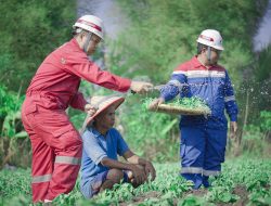 Berikan Pemberdayaan dan Solusi Inovatif kepada Masyarakat, Pertamina Sumbagsel Boyong Penghargaan di CSR & TJSL Award 2024