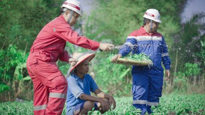 Berikan Pemberdayaan dan Solusi Inovatif kepada Masyarakat, Pertamina Sumbagsel Boyong Penghargaan di CSR & TJSL Award 2024