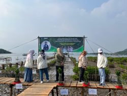 Unila Gelar Ekspedisi Replantasi Mangrove dalam Peringatan Hari Mangrove Sedunia
