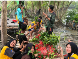 1.000 Bibit Harapan Hijau di Purworejo, Mahasiswa KKN Lindungi Pantai dari Abrasi