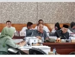 Anggota DPRD Kabupaten Lamsel Akyas Minta Dinkes Tingkatkan Pelayanan