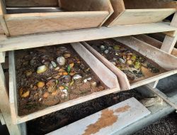 Pertamina Gandeng Masyarakat Wujudkan Pengelolaan Sampah Organik Lewat Program Apartemen Maggot 21