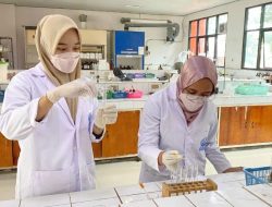 Tim PKM-RE Dipterocarpaceae Inovasi Alternatif Bahan Obat Antidiabetes dan Antikanker dari Kulit Kayu