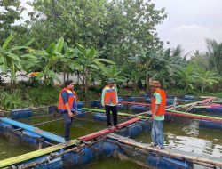 Optimalisasi Manajemen Budidaya Ikan: Pertamina Berikan Pelatihan RSD untuk Kelompok Tani Millenial