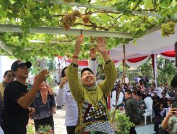 Rektor Hadiri Peresmian Pringsewu sebagai Kabupaten Sentra Anggur Lampung