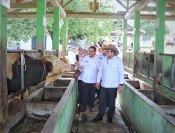 Pj. Gubernur Lampung Tinjau Balai Inseminasi Buatan, Dorong Modernisasi dan Peningkatan Stok Pangan