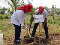 HUT Ke-79, PMI Lampung Selatan Gelar Aksi Tanam Pohon di Kawasan Agrowisata