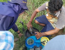 Bentuk Dedikasi Mahasiswa KKN Desa Sumbersari adakan Sosialisasi dan Pemanfaatan Limba Kelapa Sawit Sebagai Pestisida Alami Bersumber Nabati dan Mikroorganisme Lokal