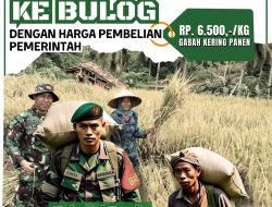 Koramil 422-02 Pesisir Selatan Bersama Buloq Pesisir Barat Ajak Petani Padi Kecamatan Ngambur Jual Hasil Panenya ke Buloq
