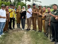 Revitalisasi Tanggul Pasca Banjir, Pemkab Lampung Selatan, BBWS Mesuji Sekampung dan DPRD Provinsi Lampung Kolaborasi Turunkan Alat Berat