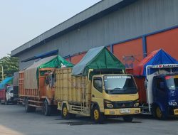 Perum BULOG Kanwil Lampung Telah Melaksanakan Penyerapan Gabah Petani Sebesar 145.430 Ton