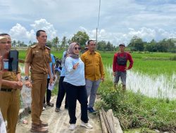 DPRD Lampung Selatan dan PLN Kolaborasi, Warga Desa Kalirejo Dapat Akses Listrik