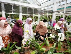 PUI Anggrek Unila Gelar Soft Launching dan Tinjau Tempat Penanaman Anggrek