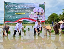 Bupati Egi Ikut Tanam Padi Serentak di 14 Provinsi Secara Daring Bersama Presiden Prabowo
