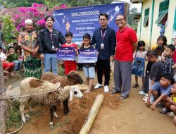 Rayakan Idul Adha 1446H XLSMART Salurkan Hewan Kurban untuk Masyarakat