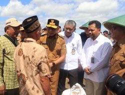 Petani Lampung Sambut Gembira Panen Raya, Pemerintah Pastikan Harga Gabah Menguntungkan