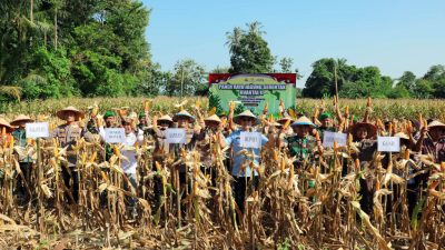 Gelar Panen Raya, Pemkab Lampung Selatan Dukung Swasembada Jagung Nasional