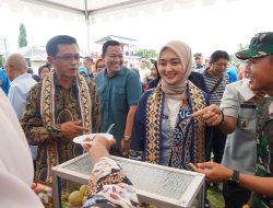 Desaku Maju Dorong Kemandirian Ekonomi, Ketahanan Pangan Desa, dan Ciptakan Ekosistem Ekonomi Desa