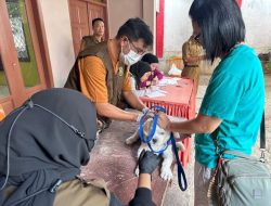 Pemkot Bandar Lampung Sudah Vaksin 150 Hewan Penular, masih nol kasus rabies