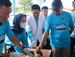 Lampung Mantapkan Swasembada Protein Hewani, Targetkan Zero Rabies 2030