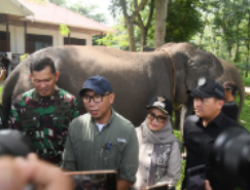 Ketua DPRD Lampung: Atensi Presiden Jadikan Way Kambas Percontohan Nasional Harus Dikawal Bersama