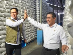 BULOG Cetak Rekor Sepanjang Sejarah, Stok Beras Tembus 5 Juta Ton