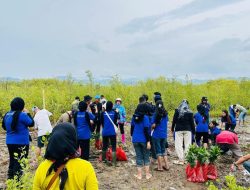 Langkah Taktis Mitigasi Banjir Rob KKN Mahasisawa Unila Melaksanakan Program Penanaman 1.000 Bibit Mangrove di Pesisir Pantai