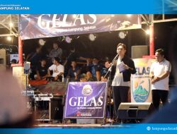 Bupati Egi Apresiasi Pentas Musik Gelas, Dorong Hiburan Rakyat Jadi Penggerak UMKM Lampung Selatan