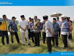 Sinergi Pusat dan Daerah Menguat, Dirjen Kemdiktisaintek Tinjau Calon Lokasi SMA Unggul Garuda di Lampung Selatan