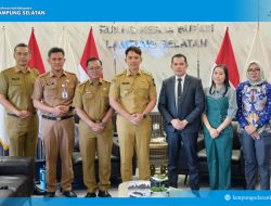 Bupati Egi Buka Peluang Kolaborasi dengan Arka Surya Grup, Dorong Inovasi Smart City dan Peningkatan PAD Lampung Selatan