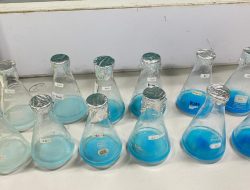 Tim PKM-RE Nanosorb.id Unila Ubah Tulang Ikan Sapu-Sapu dan Sekam Padi Menjadi Biokomposit HAp–SiO₂ sebagai Adsorben