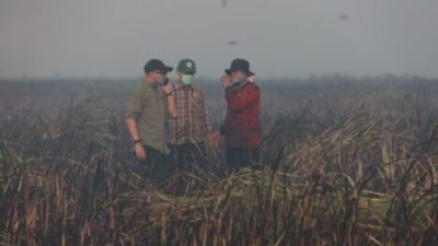 Gubernur Mirza Pastikan Penanganan Kebakaran di Braja Harjosari Terkendali, Tim Gabungan Cegah Api Masuk TN Way Kambas
