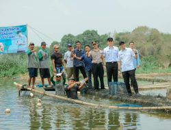 Inovasi Pakan Mandiri Tekan Biaya Produksi hingga 50 Persen, Gubernur Mirza Dorong Pembudidaya Ikan Lampung Makin Sejahtera